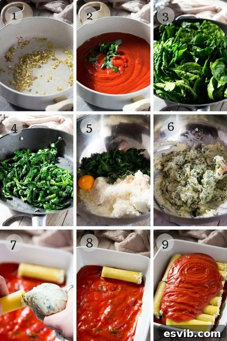 Step by step photos showing how to make the tomato sauce for spinach and ricotta cannelloni
