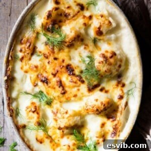 A serving of baked cauliflower cheese and fennel in a white dish.
