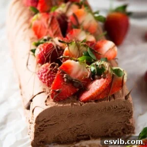 A chocolate semifreddo recipe on a white surface topped with fresh berries