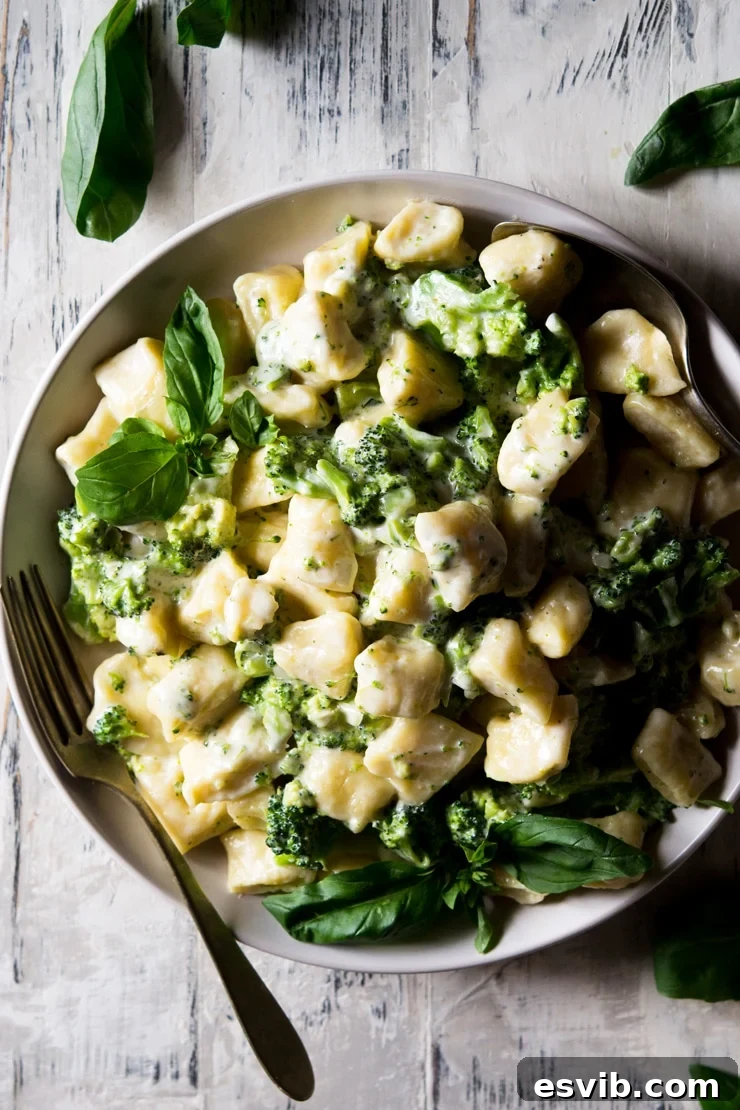 Homemade Ricotta Gnocchi with Creamy Broccoli Sauce An overhead shot of ricotta gnocchi in a broccoli cream sauce in a large round plate, garnished with fresh basil