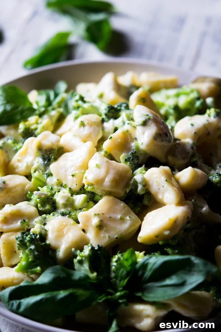 Ricotta Gnocchi in Creamy Broccoli Sauce A close up shot of ricotta gnocchi with a vibrant broccoli cream sauce garnished with fresh basil leaves