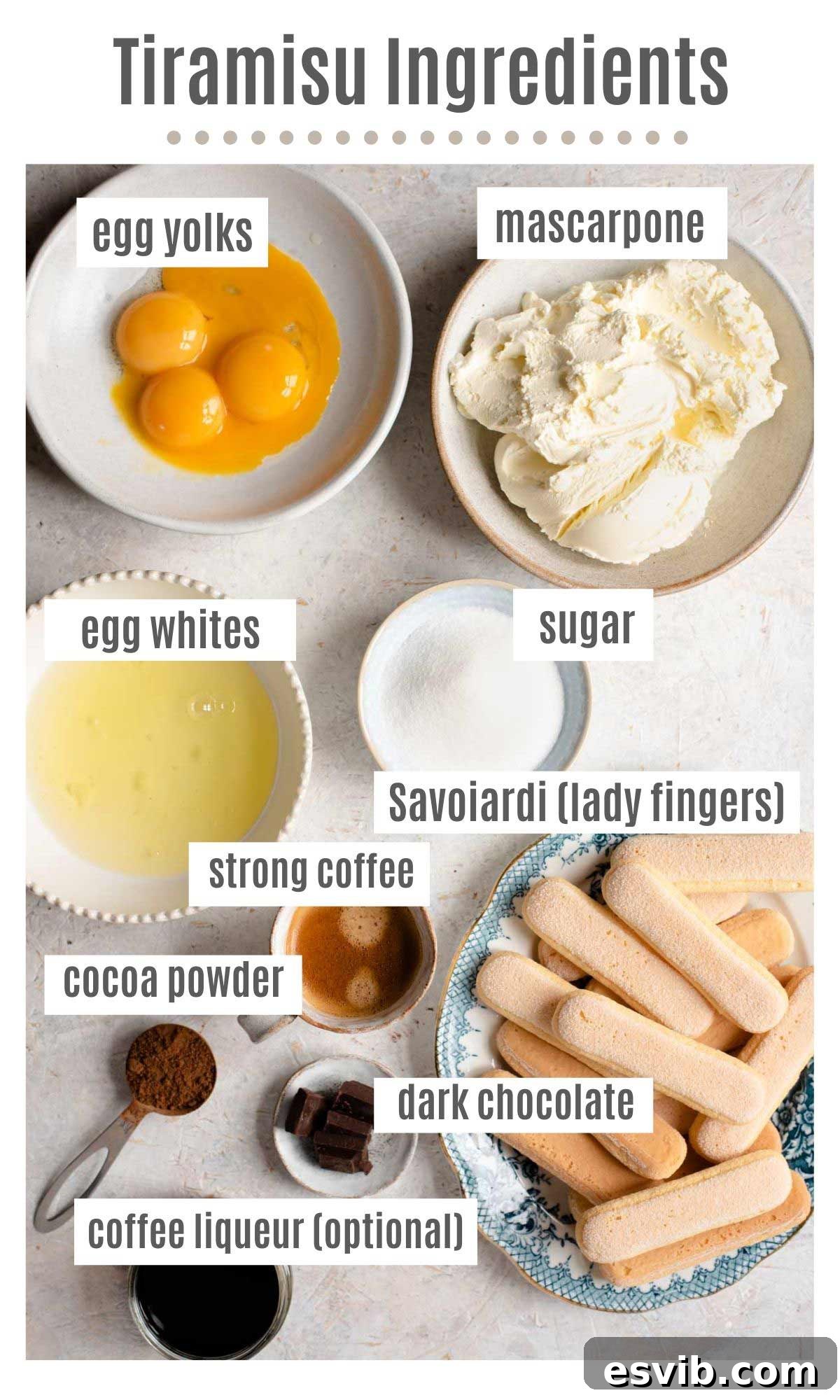 A comprehensive overview of all the fresh ingredients meticulously arranged, necessary for crafting a perfect homemade Tiramisu.