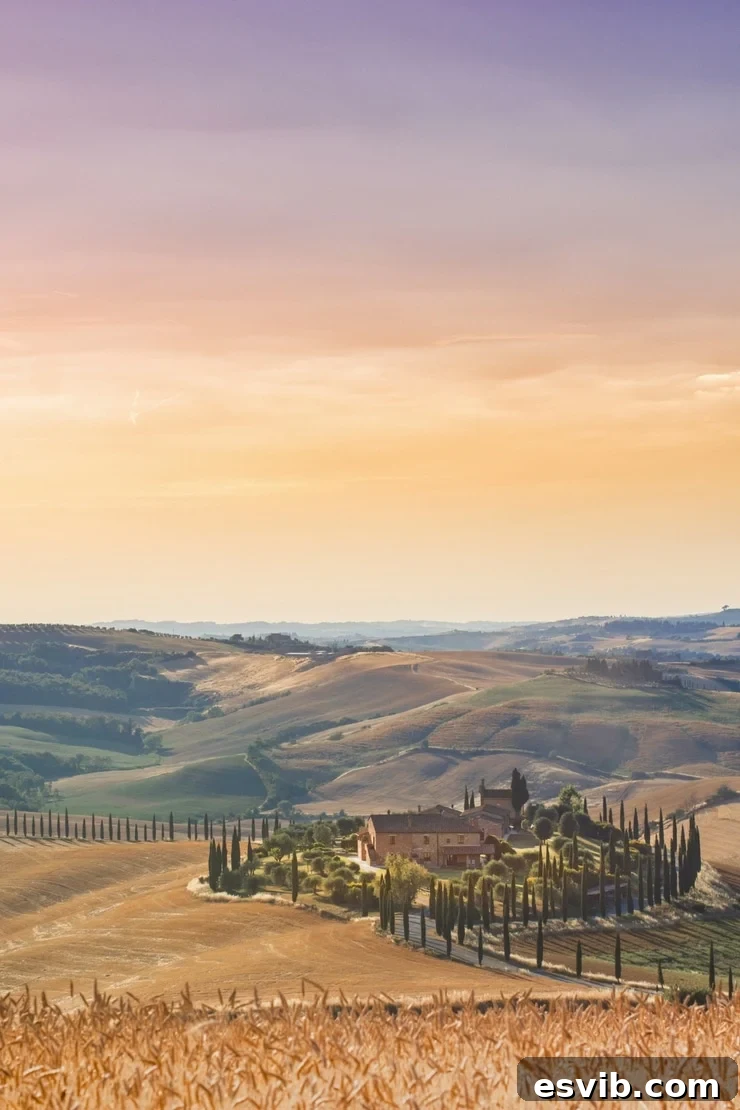 A photo of the serene Tuscan countryside, featuring an old rustic farmhouse nestled among rolling hills and surrounded by elegant cypress trees, epitomizing rural Italian beauty.