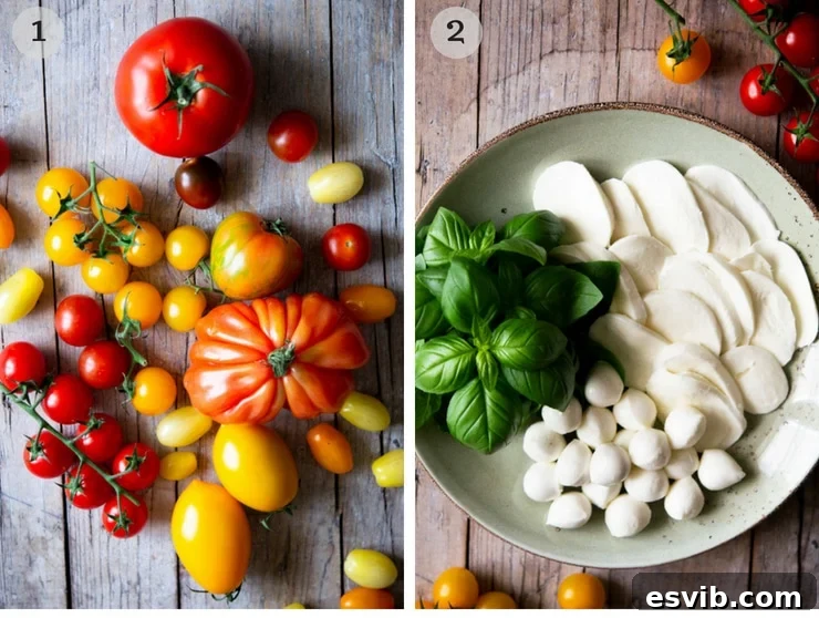 Preparing Caprese: Sliced Tomatoes and Mozzarella A collage image showing various colored tomatoes sliced and fresh mozzarella slices meticulously arranged for preparing a Caprese salad, emphasizing the fresh ingredients.