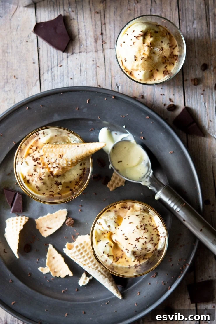 Italian Affogato: Coffee and Ice Cream Perfection 4 An overhead shot of two elegant Affogato desserts in clear glasses, garnished with broken ice cream cones and chocolate shavings.