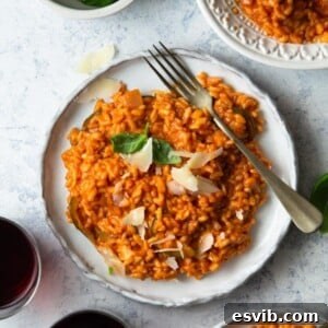 Creamy Tomato Risotto Finished Dish A close-up of a serving of creamy tomato risotto