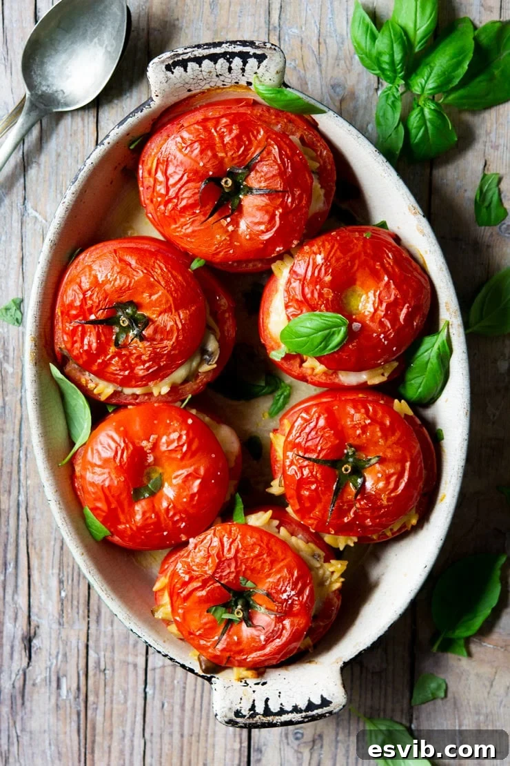 Delicious Baked Stuffed Tomatoes with creamy orzo, mushrooms, and mozzarella – a perfect Italian-inspired summer meal. Six baked stuffed tomatoes in an oval baking dish, filled with creamy orzo, mushrooms, and melted mozzarella cheese, garnished with fresh herbs, ready to be served.