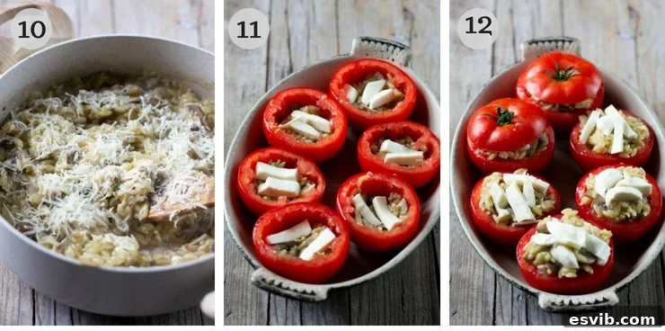 Assembling the stuffed tomatoes with savory orzo and cheese. A step-by-step visual sequence showing the assembly of baked stuffed tomatoes, layering creamy orzo and mozzarella cheese inside the hollowed tomatoes.