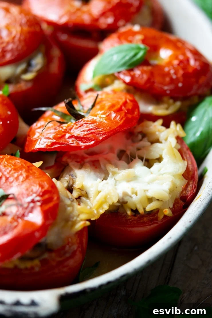 Irresistible Baked Stuffed Tomatoes with gooey mozzarella and rich orzo pasta, ready to enjoy. A close-up view of six freshly baked stuffed tomatoes in a white oval baking dish, showcasing the golden-brown melted mozzarella cheese on top and the rich orzo filling.
