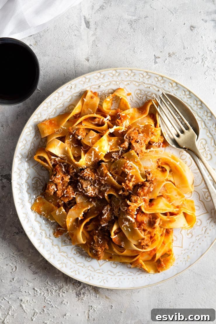Authentic Venetian Duck Ragu with Pappardelle Pasta An overhead shot of a bowl of rich Venetian duck ragu with pappardelle pasta, garnished with fresh herbs.