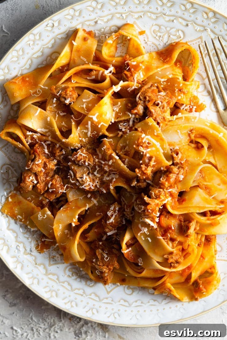 Delicious Pappardelle with Venetian Duck Ragu A close-up view of pappardelle pasta generously coated with Venetian duck ragu in a bowl.