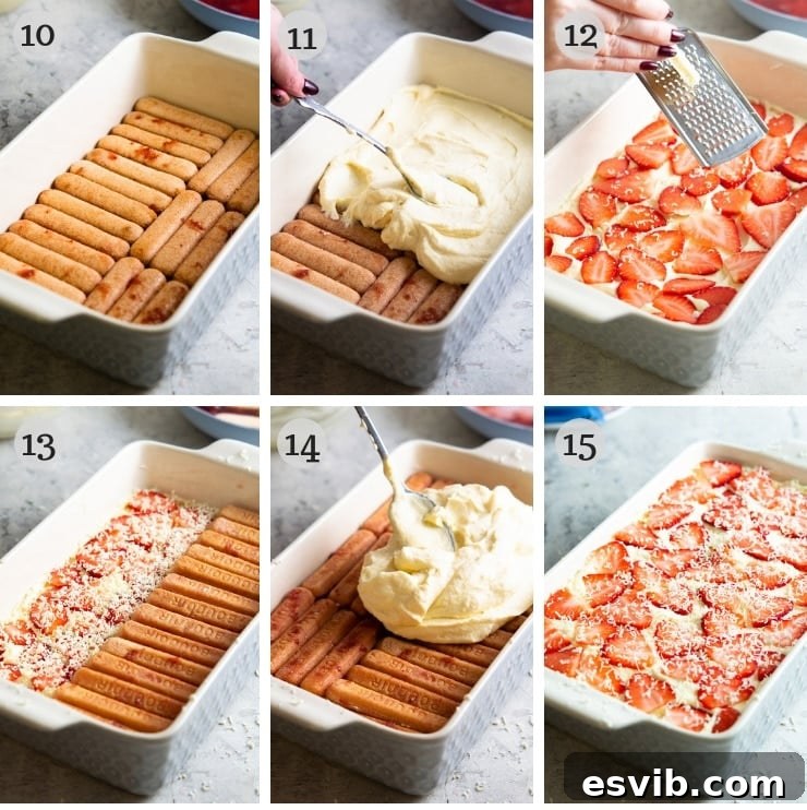 Step-by-step photos illustrating the layering process of strawberry tiramisu, from biscuit soaking to final garnishing.