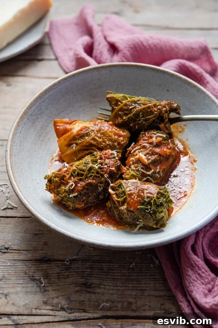 Stuffed cabbage rolls arranged beautifully in a bowl, generously covered with tomato sauce and fresh herbs.