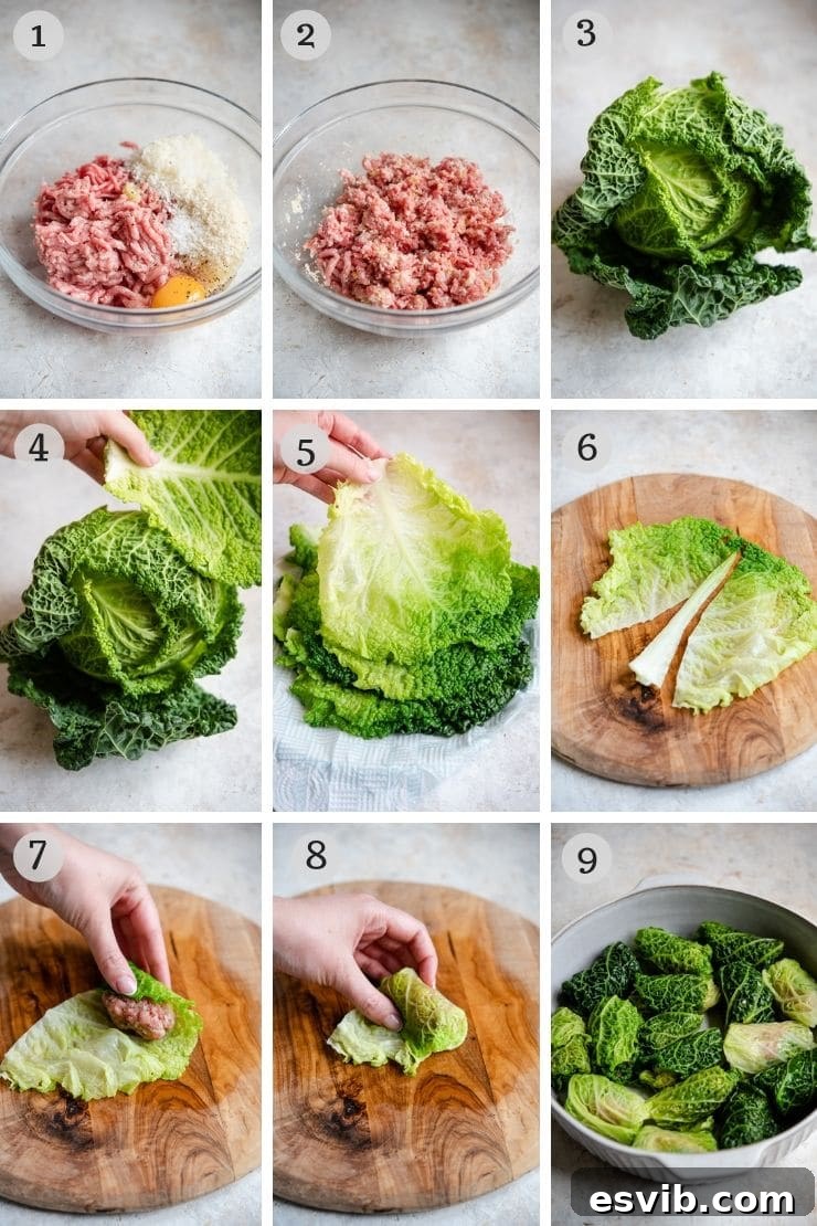 A collage of step-by-step photos showing the preparation of Italian stuffed cabbage rolls, including mixing the filling, blanching cabbage, and rolling.