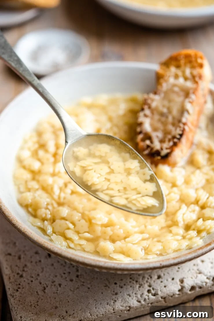 Italian Pastina Chicken Noodle Soup 5 A close-up view of a spoonful of Pastina Soup, showing the small star-shaped pasta nestled in a clear, golden broth, ready to be enjoyed as a comforting meal.