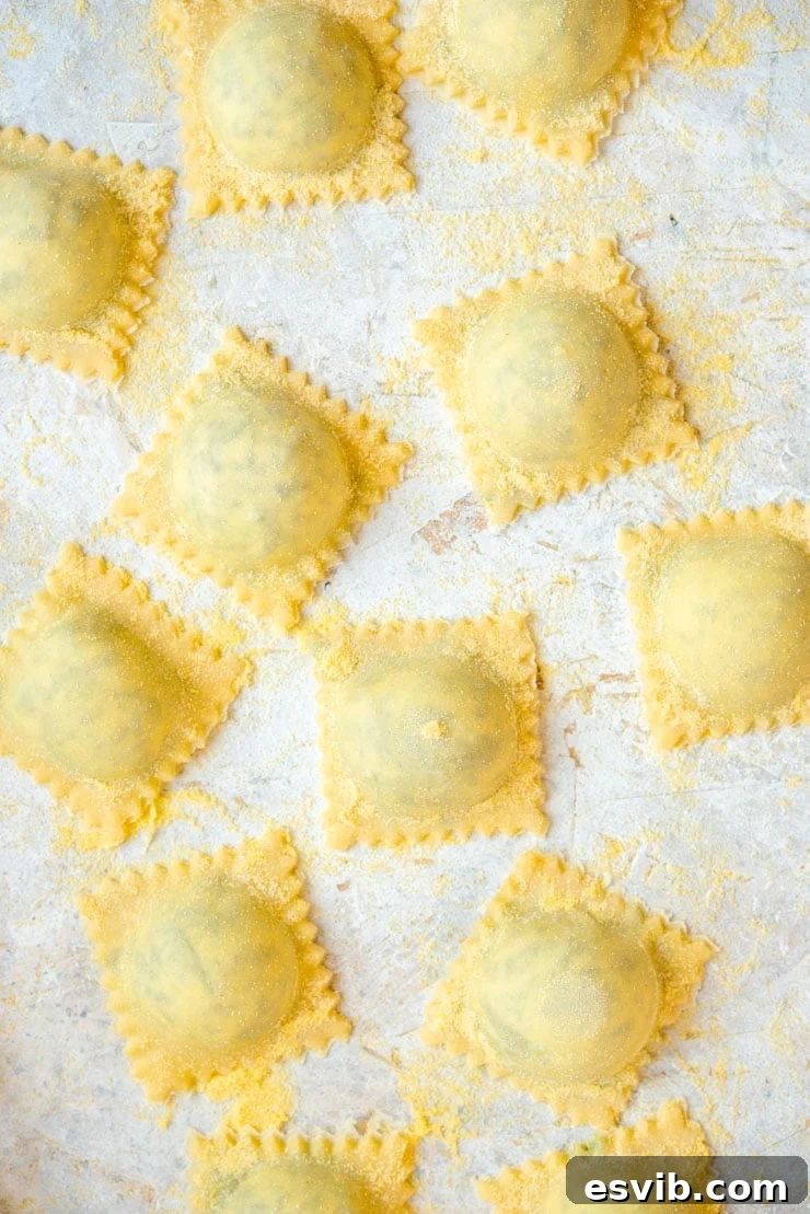 A close up of homemade ravioli before being cooked, dusted with semolina flour, showcasing perfect pleats
