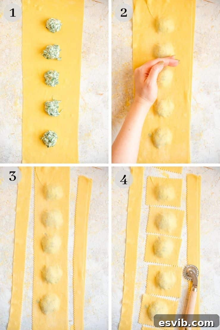 Step by step photos showing how to make ravioli with a pasta wheel, from spacing filling to final cuts