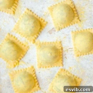 Homemade Ravioli, square shape