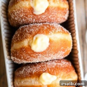 Bomboloni Italian Fried Pastry Bliss 13 A beautifully fried and sugared bomboloni doughnut, ready to be filled.