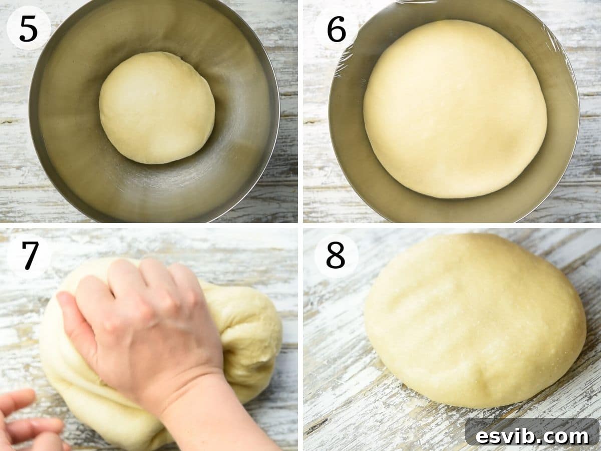 Bomboloni Italian Fried Pastry Bliss 5 Step-by-step photos demonstrating the dough proving process and how to gently knead and roll it out for cutting.