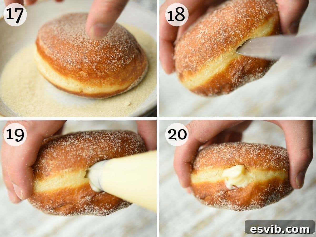 Bomboloni Italian Fried Pastry Bliss 8 Step-by-step photos illustrating how to roll bomboloni in sugar and then expertly fill them with pastry cream using a piping bag.