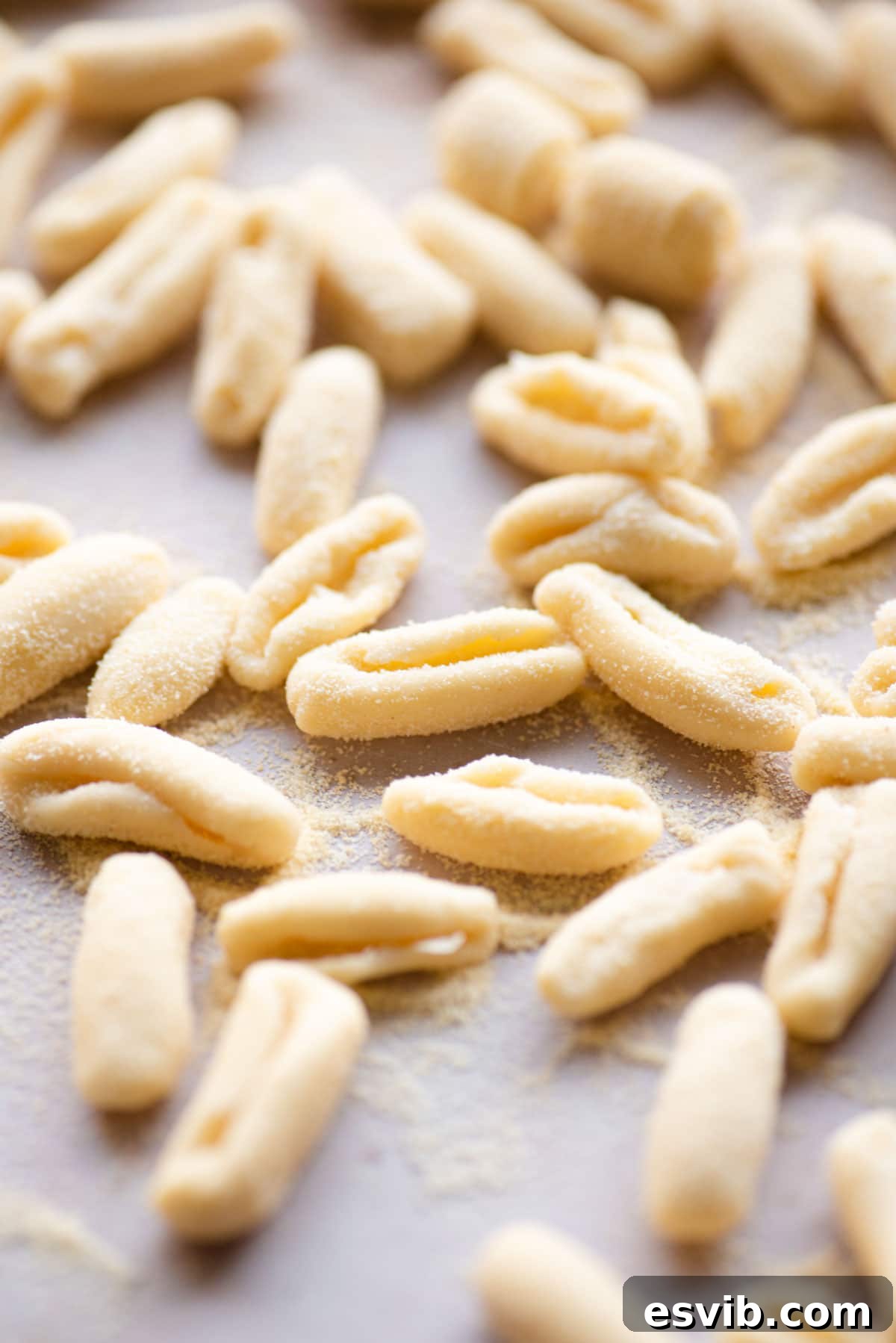 A close-up view of various traditional semolina pasta shapes, expertly formed and ready to be cooked, showcasing the dough's versatility.