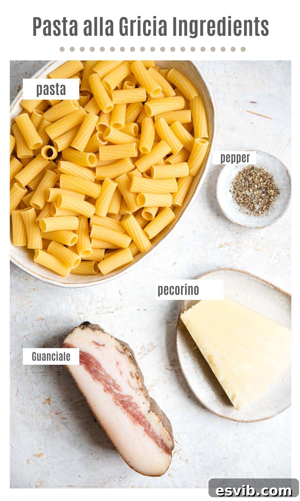 An overhead flat lay photo displaying the four essential ingredients for Pasta alla Gricia: dried rigatoni pasta, cubed guanciale, a block of Pecorino Romano cheese, and a pepper grinder.