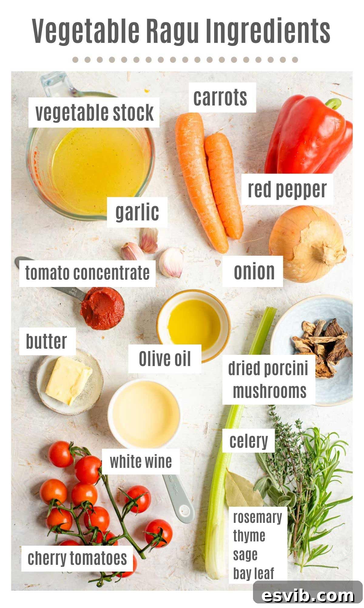 Rustic Vegetable Ragu Pappardelle 3 An overhead shot of all the ingredients you need to make vegetable ragu