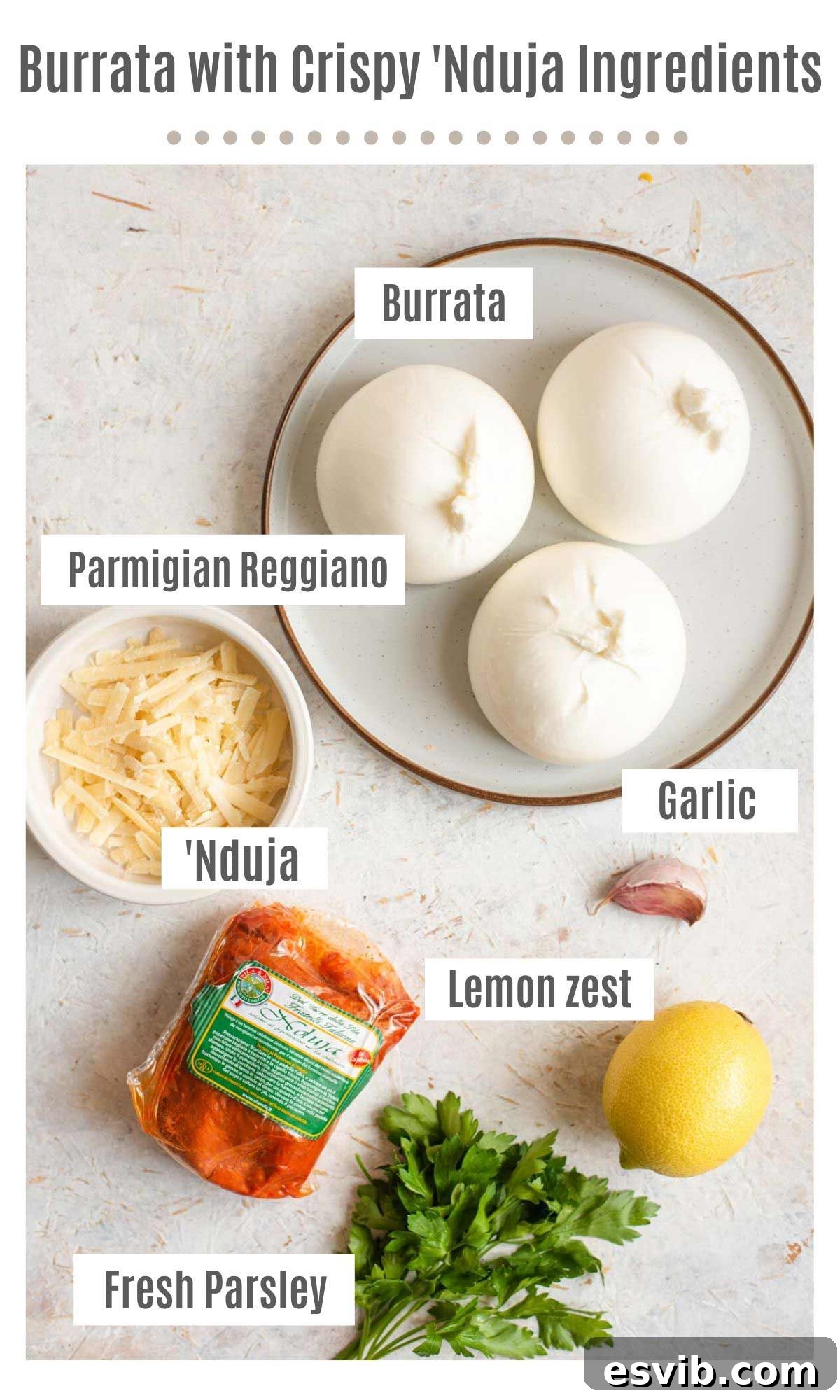 An overhead shot of all the ingredients you need to make Burrata with 'Nduja and gremolata, laid out neatly