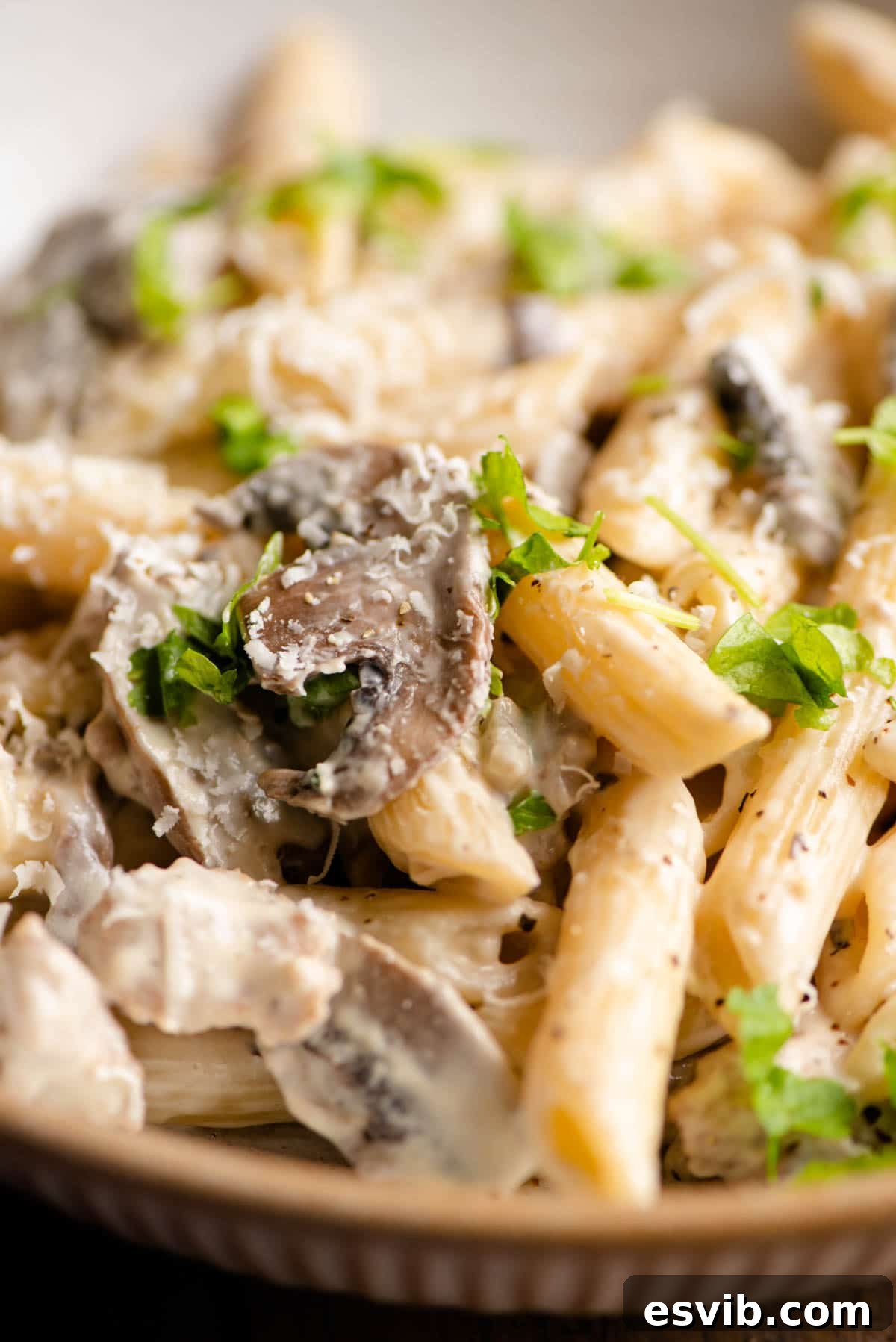 A finished bowl of Pasta alla Boscaiola, ready to be enjoyed.