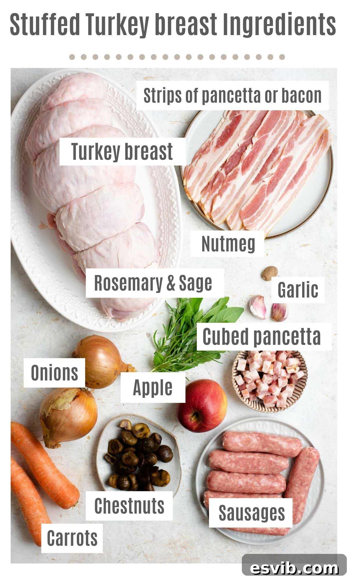 An overhead shot displaying all the fresh ingredients neatly laid out on a kitchen counter, ready for preparing the stuffed turkey breast: turkey breast, sausages, pancetta, herbs, apple, chestnuts, garlic, onions, and carrots.