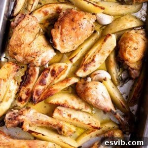 A close up cropped image of roasted chicken and potatoes in a baking tray, showcasing the golden-brown chicken skin and tender potatoes.