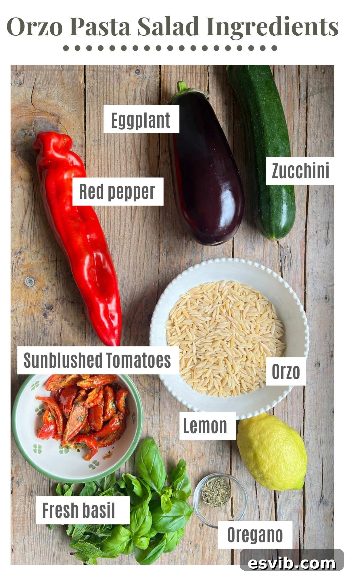 An overhead shot of all the ingredients needed to make an orzo pasta salad. The labelled ingredients are red pepper, eggplant, zucchini, orzo, sun blushed tomatoes, lemon, basil, oregano.
