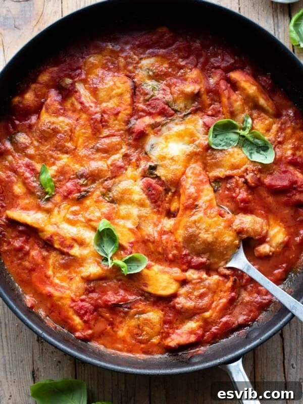 An overhead shot of a skillet with chicken baked in tomato sauce and topped with mozzarella