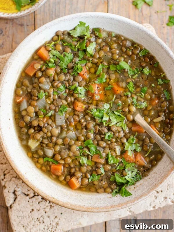 An overhead shot of Italian lentil soup in a bowl