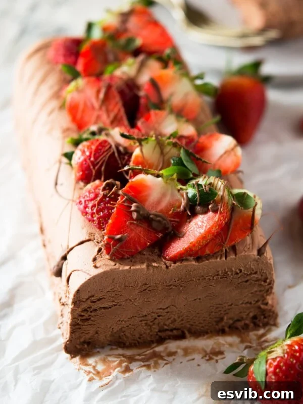 A chocolate semifreddo recipe on a white surface topped with fresh berries