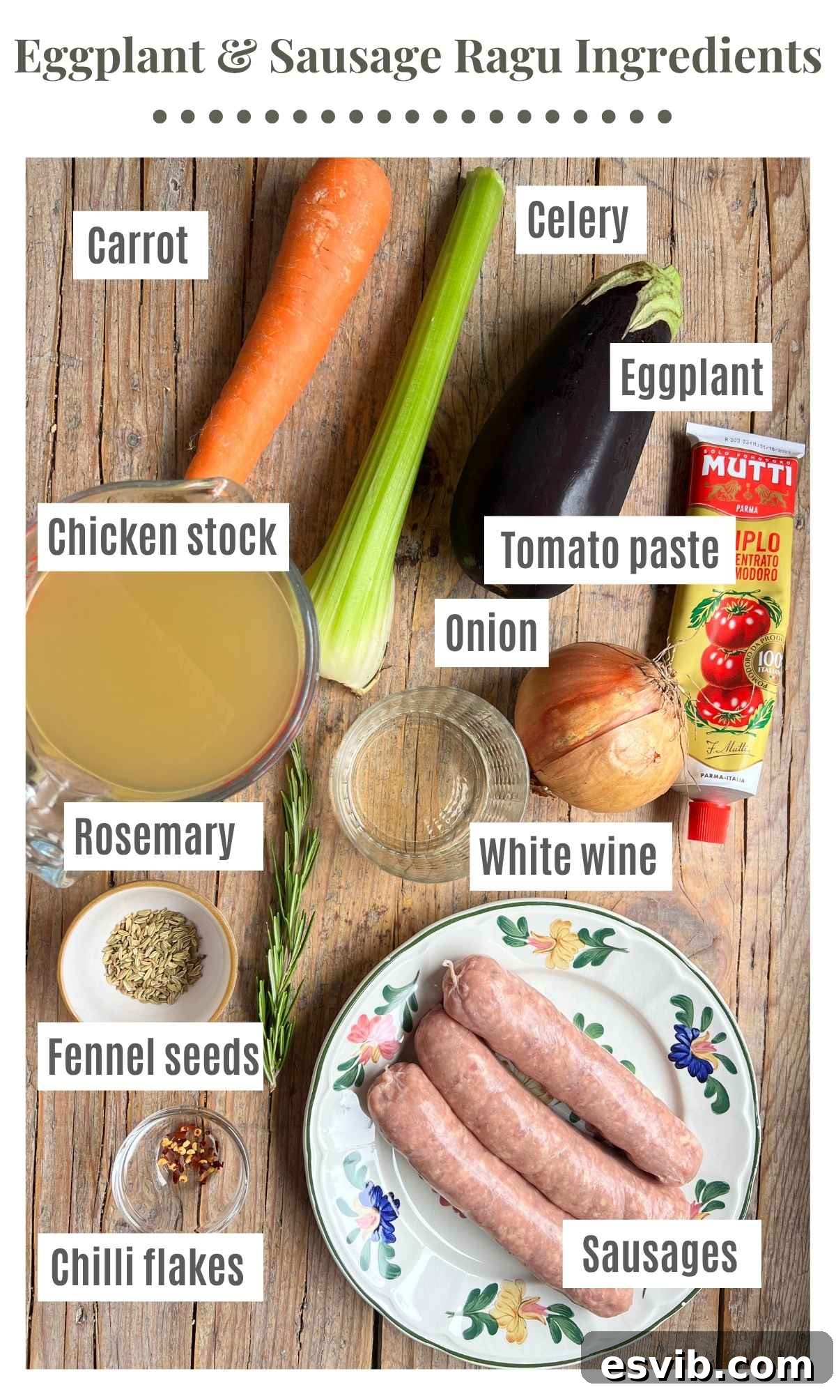 An overhead shot of all the ingredients needed to make a sausage and eggplant ragu laying on a wooden background.